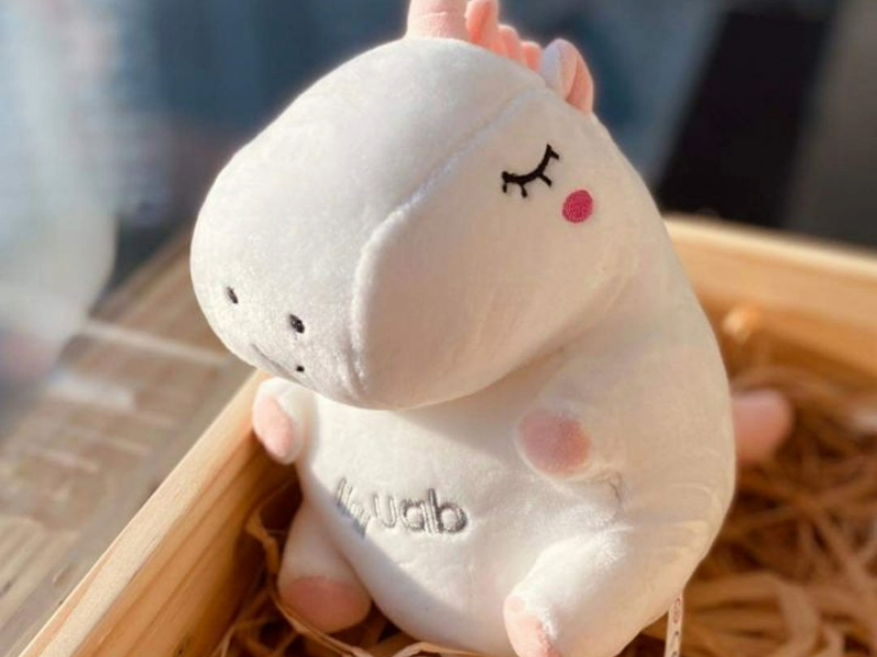 Baby Unicorn